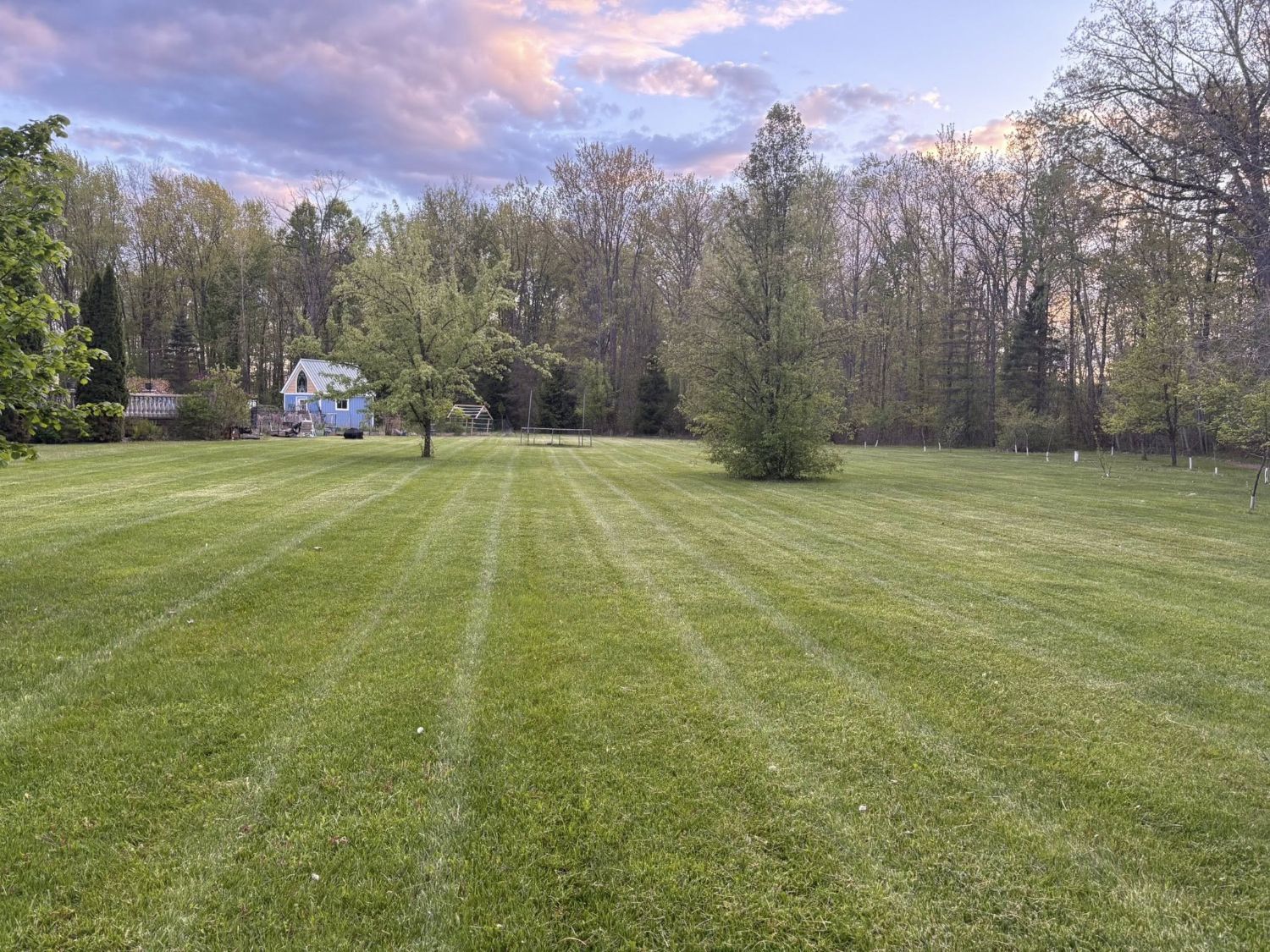 Perfectly striped large lawn mowed by Alfie's Lawn Care in Rochester Hills MI